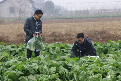 筑牢“舌尖安全”首道防線 強化食用農產品初加工環節質量安全監管