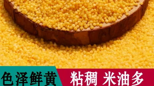 方山縣積翠鄉(xiāng) 消費扶貧月綠色農(nóng)產(chǎn)品展銷與網(wǎng)絡認購活動助力農(nóng)產(chǎn)品初加工升級